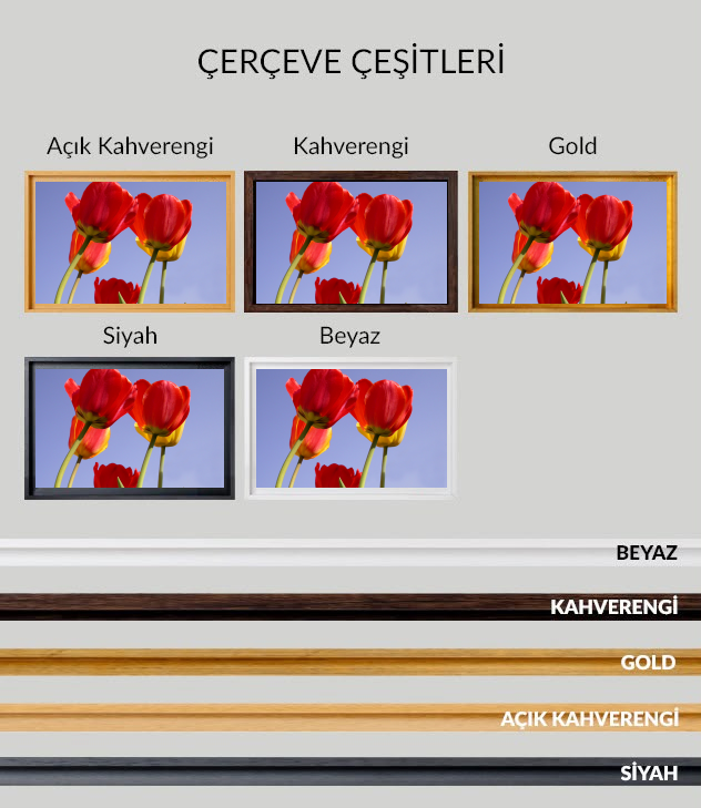 Çiçekler Kanvas Tablo 7 - Görsel 7