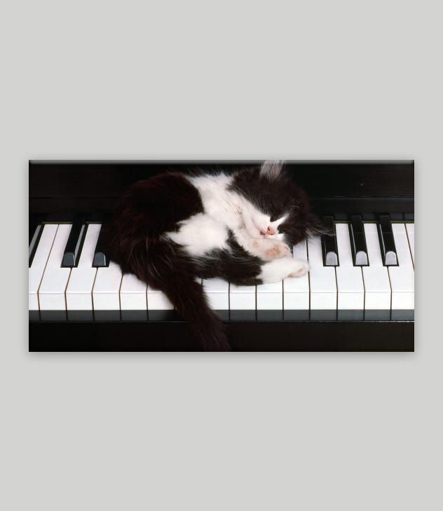 Dans Müzik Kanvas Tablo 9 - Görsel 4