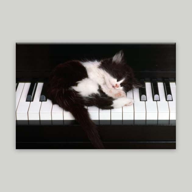 Dans Müzik Kanvas Tablo 9