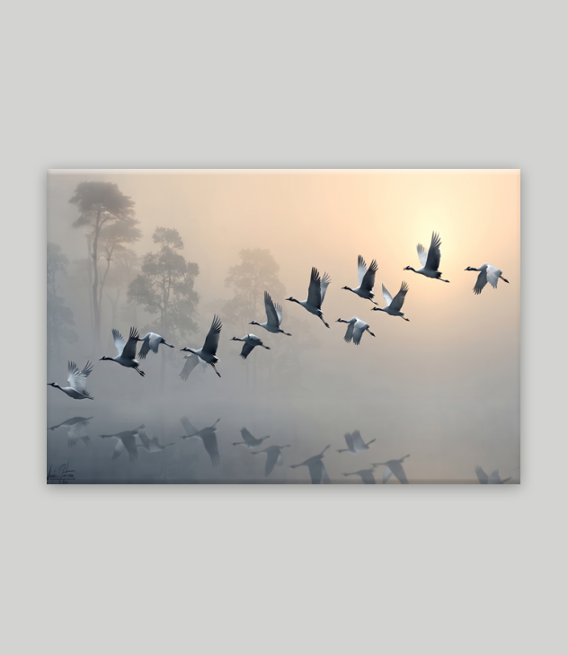 En Çok Satanlar Kanvas Tablo 12